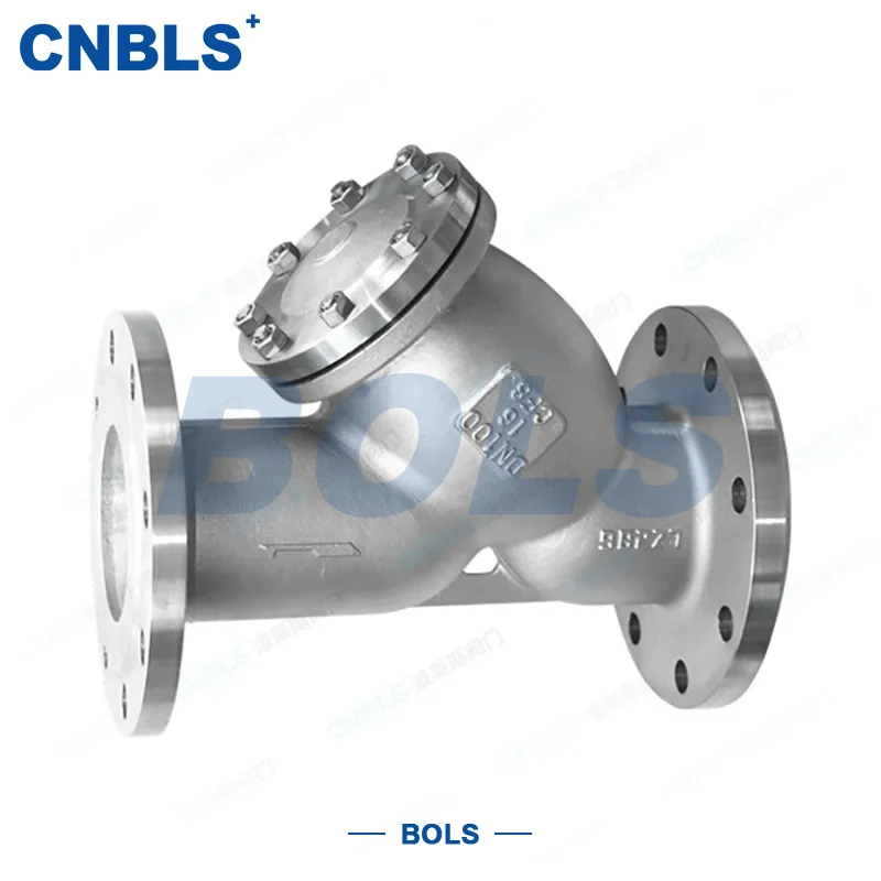 Filtre de type Y à bride en acier inoxydable